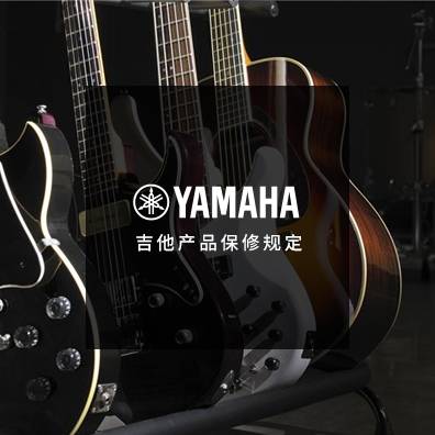 吉他、贝斯和音箱